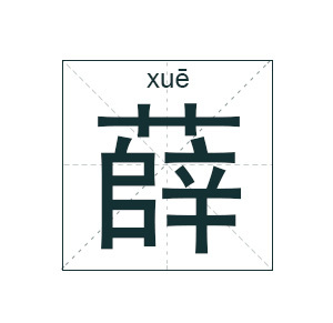 薛的名字男孩