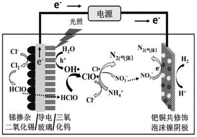 氨氮降解原理