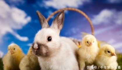 忘形是什么生肖