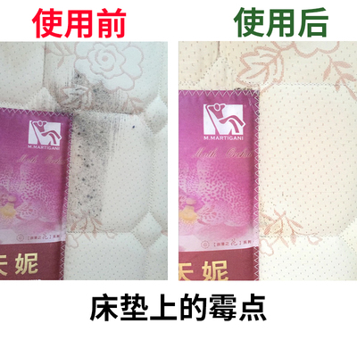 沙发上的霉点怎么去除