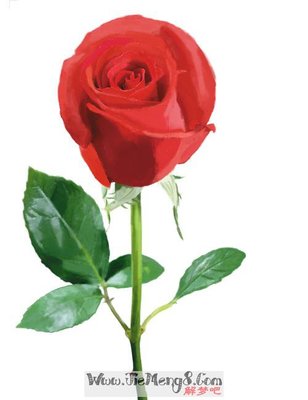 孕妇梦见鲜花