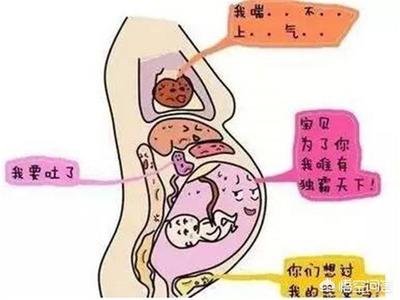一般怀孕几个月会吐