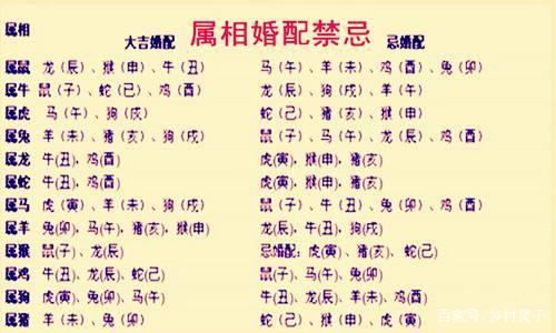 结婚禁忌属相