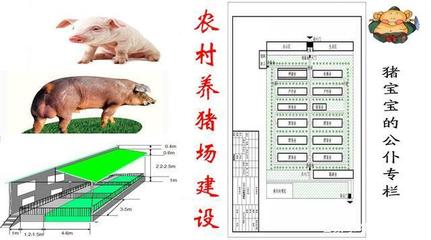 养猪场的平面设计图 现代