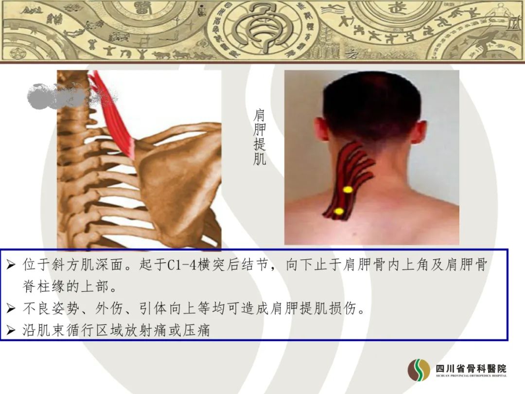 神经根颈椎病怎么治疗最好