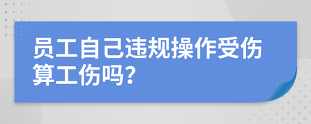 违规操作算工伤吗