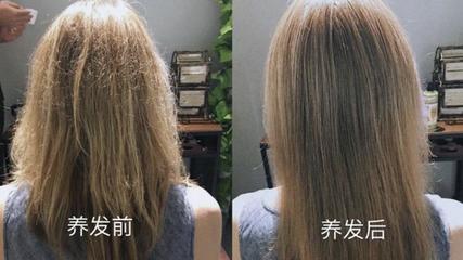 什么植物能染发
