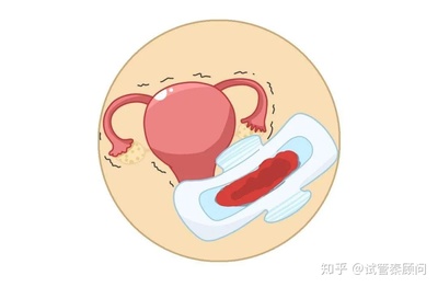 绝经以后还能怀孕吗