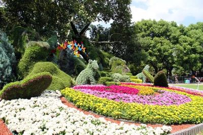 花坛设计理念