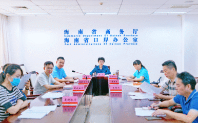 海南省视频会议系统软件
