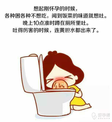 怀孕初期一到晚上就想吐
