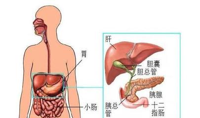 人的小肠怎么检查多少钱