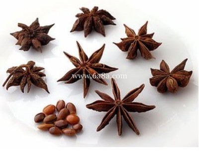 茴香孕妇能吃不