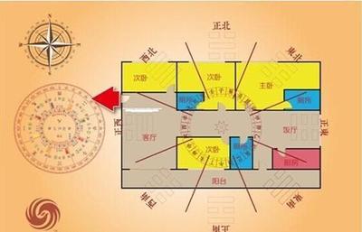 5楼五行属什么