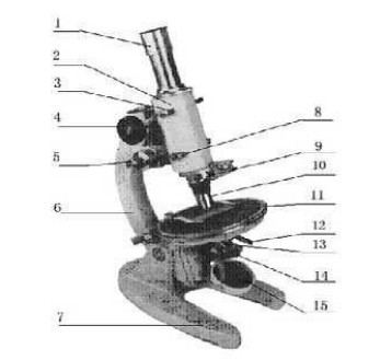 显微镜原理图