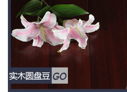 哪里有厂家批发木地板加盟