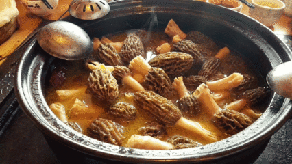 羊肚菌做法怎么煮汤