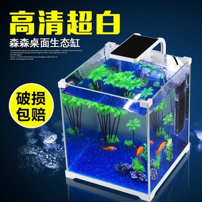 重慶觀賞魚批發(fā)市場有哪些地方可以買到魚（重慶觀賞魚批發(fā)市場有哪些地方可以買到魚苗） 觀賞魚批發(fā)