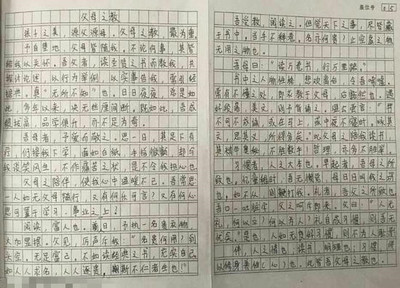 我是学生600字作文怎么写