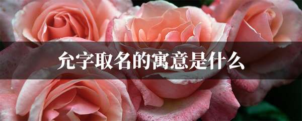 寓意诚信的字