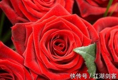 属虎和属羊的合不合财