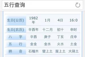 1990年五行属什么命