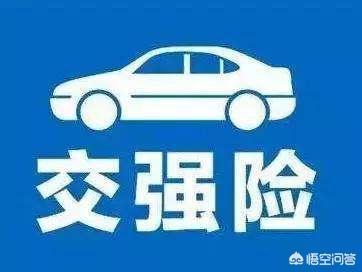 车辆在哪过户