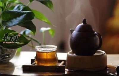 孕妇喝茶可以吗
