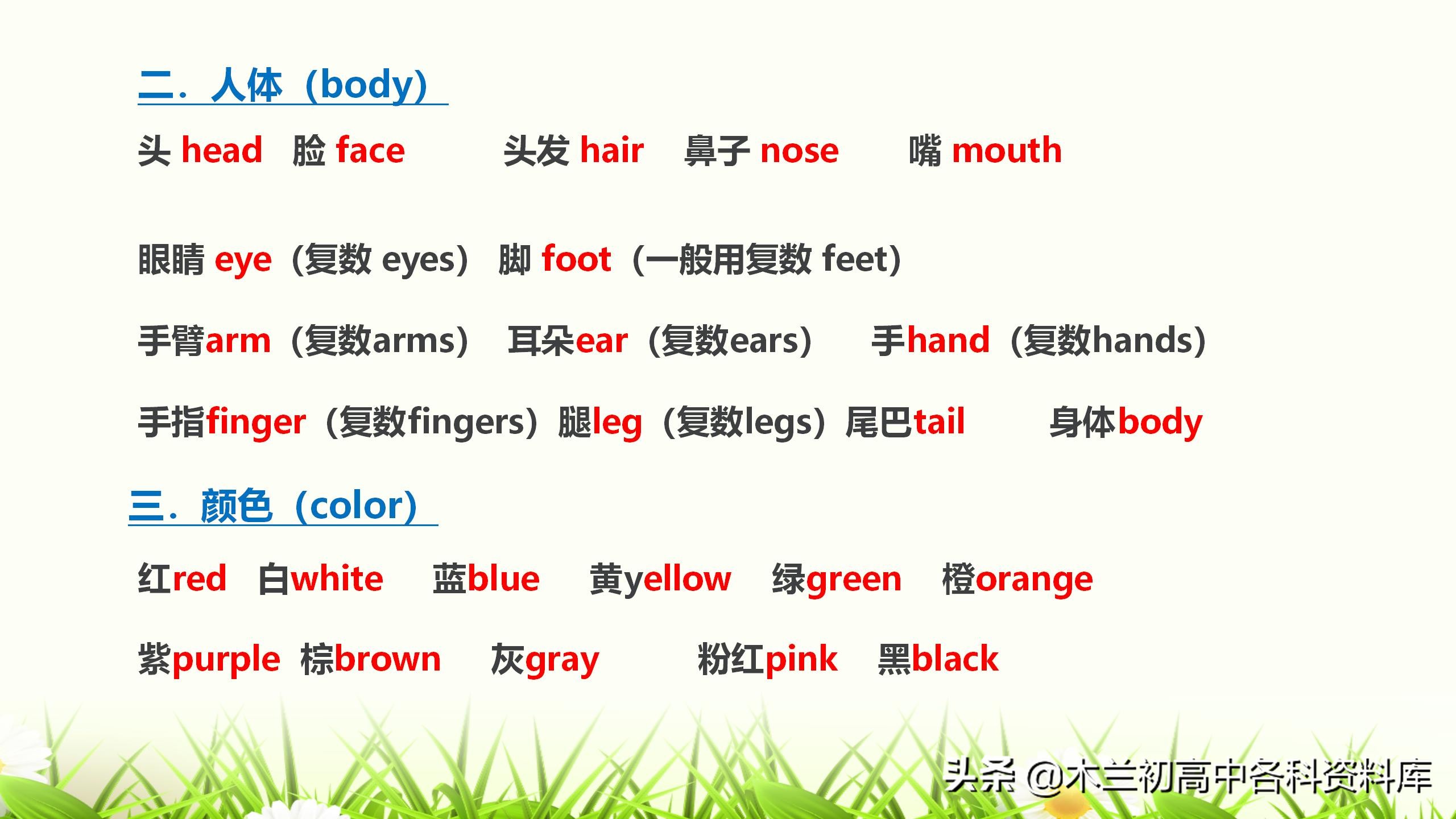 英语单词里眼睛怎么写