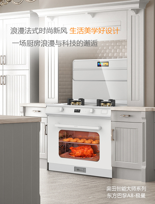 奥田厨房电器中国排行