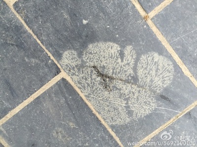 灰色地砖贴图