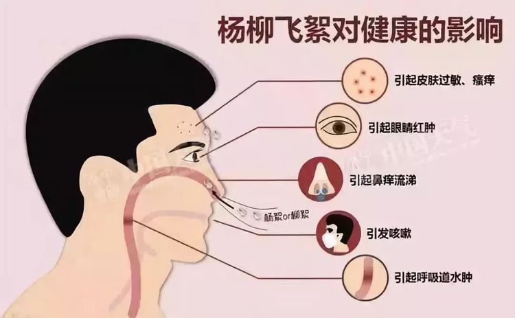 哮喘咳嗽会传染吗