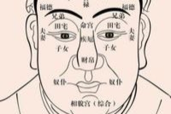 眼下竖纹面相