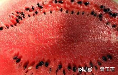 西瓜治咳嗽吗