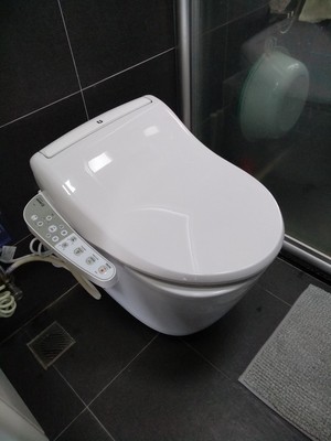 什么马桶好