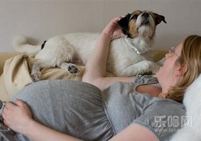 孕妇可以接触宠物吗