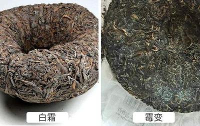 茶叶发霉了怎么办