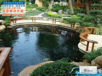 家庭鱼池设计