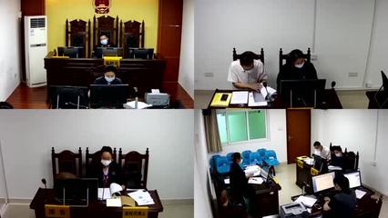 业主撤销权纠纷