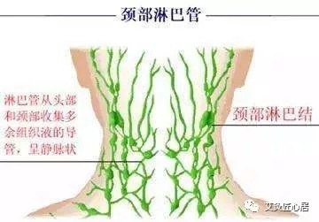淋巴发炎是怎么回事