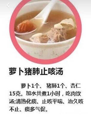 猪肺罗卜的做法大全家常
