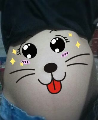 怀孕几个月开始动