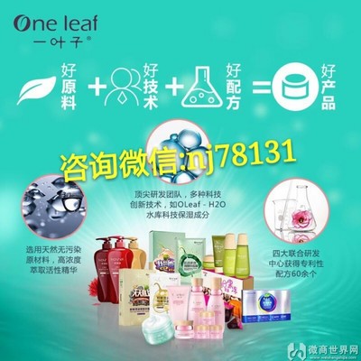 叶子面膜怎么用