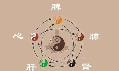标字五行属什么