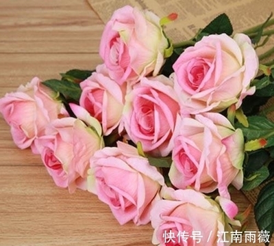 男属猪女属虎八字合吗