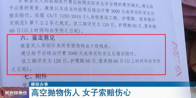 轻伤十级