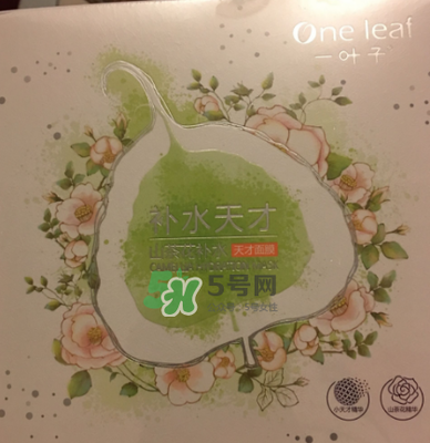 一叶子补水面膜好吗