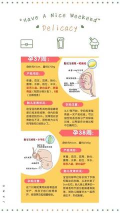 38周胎儿发育标准