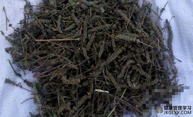 荆芥穗功效与作用