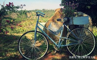 做梦梦见自行车